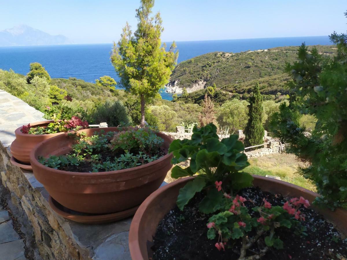 סארטי Villa Athos מראה חיצוני תמונה